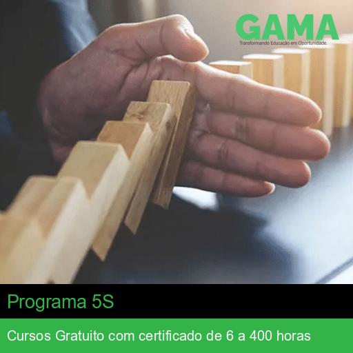 Programa 5S